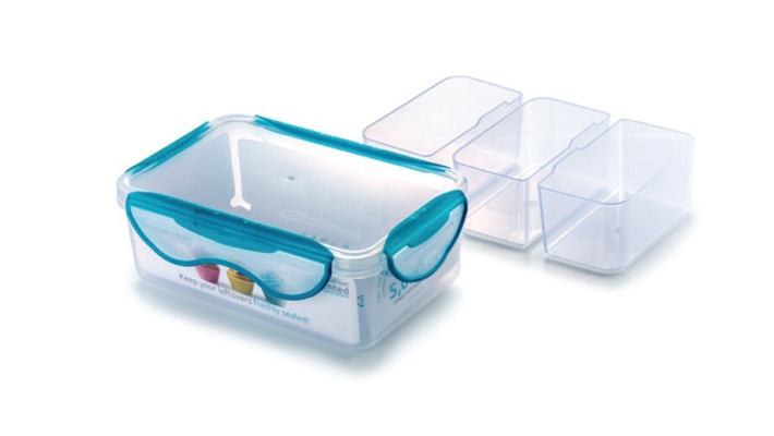 Clip Fresh Rectangular Food Container with Dividers